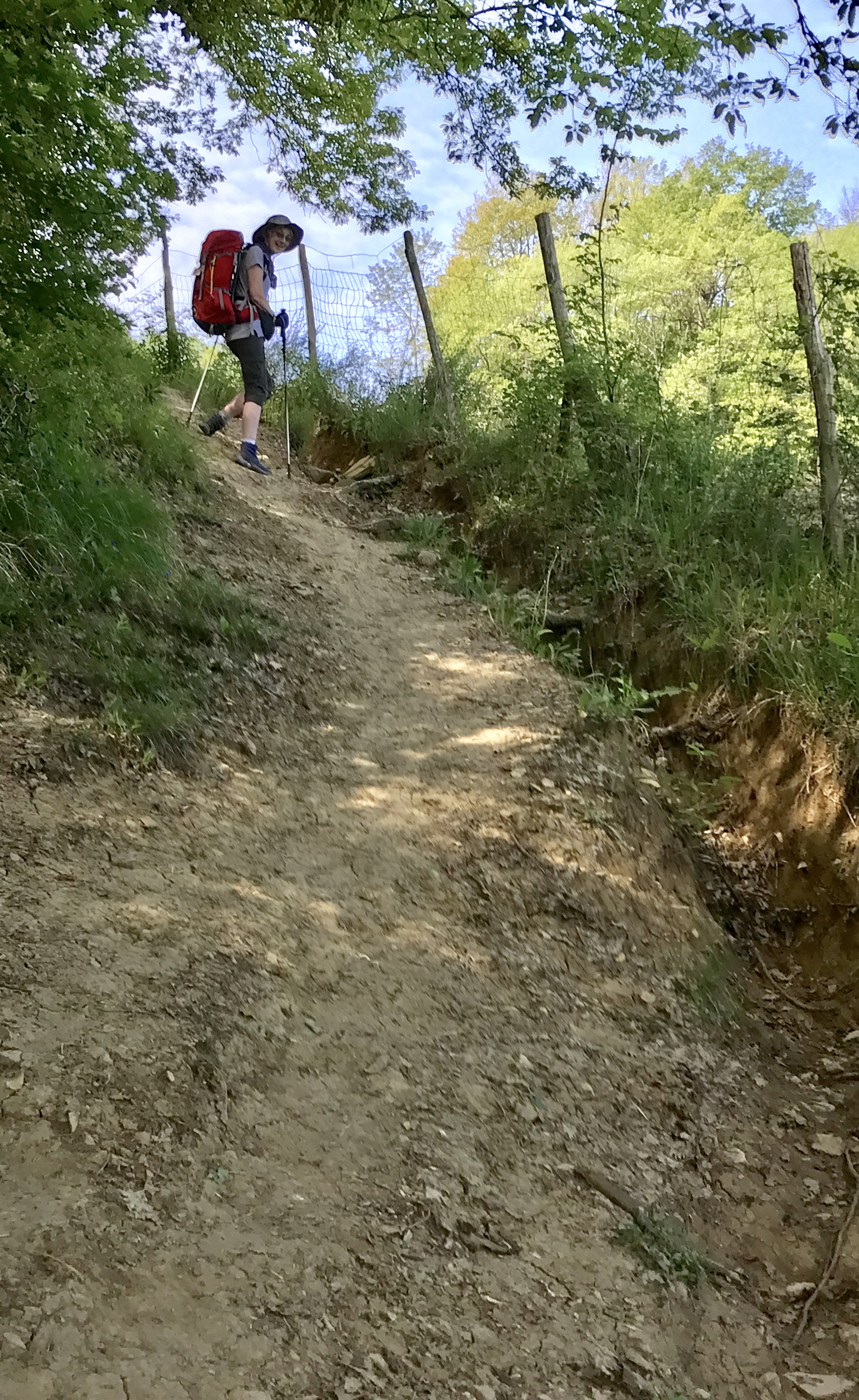 63278DD3-D05E-4A0D-ABEE-20809A11748C