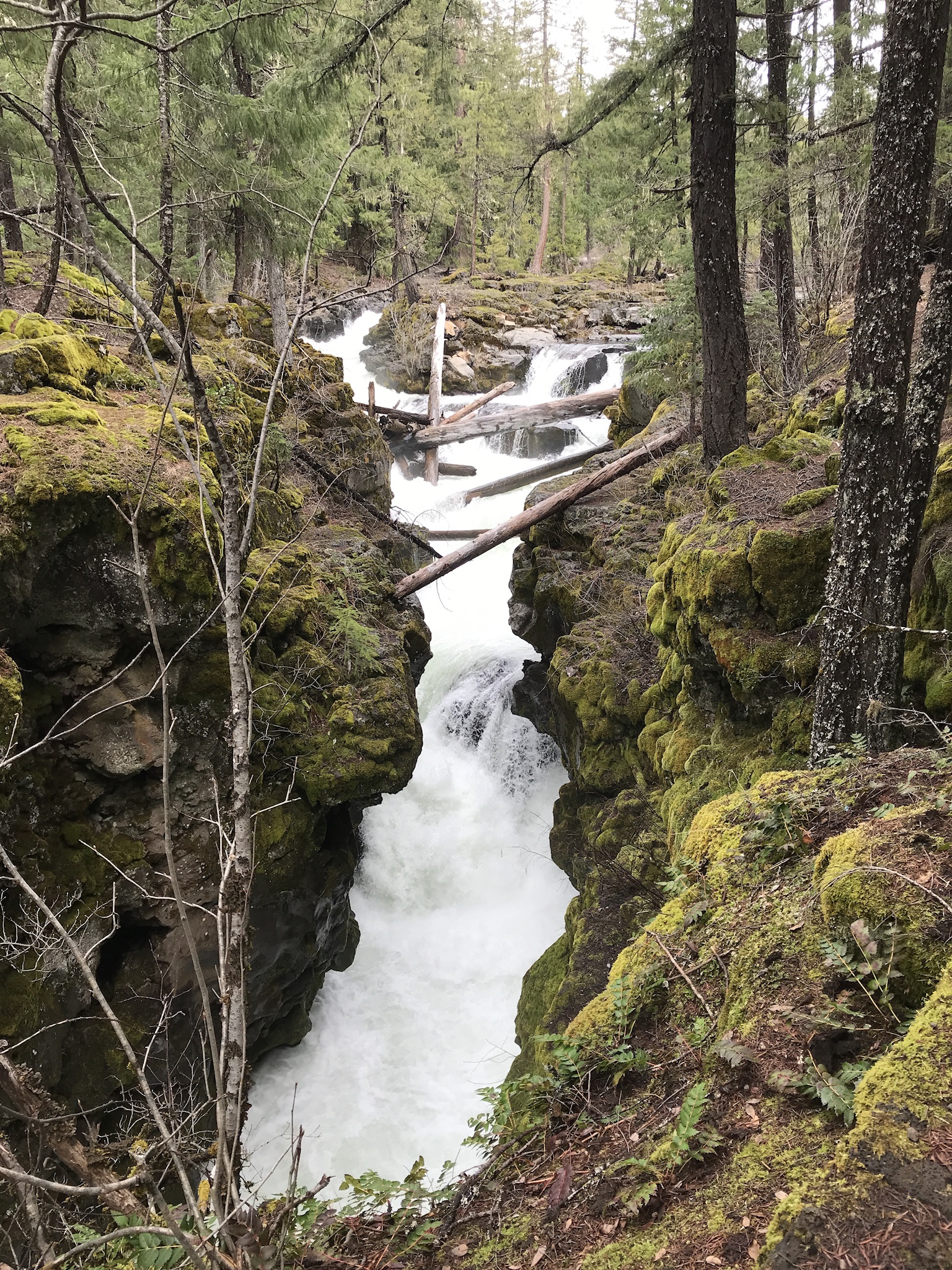 66A813A2-64C7-456A-9C5C-10A4D0366CB6