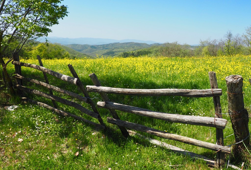 The Way of St. Francis: On the 7th day, we&nbsp;rested