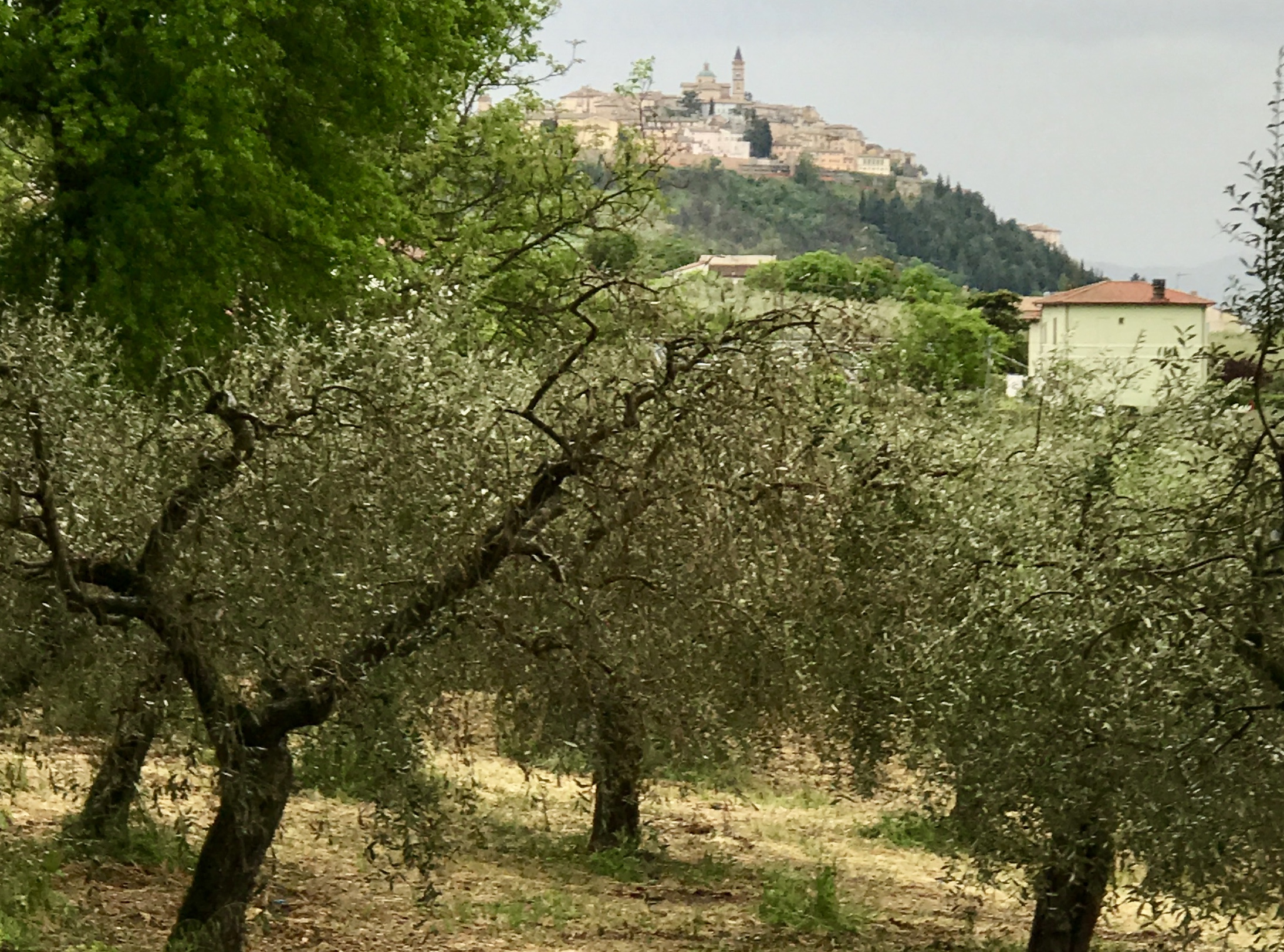 087A01C5-84B4-41EB-AFFA-7729B65D90AA