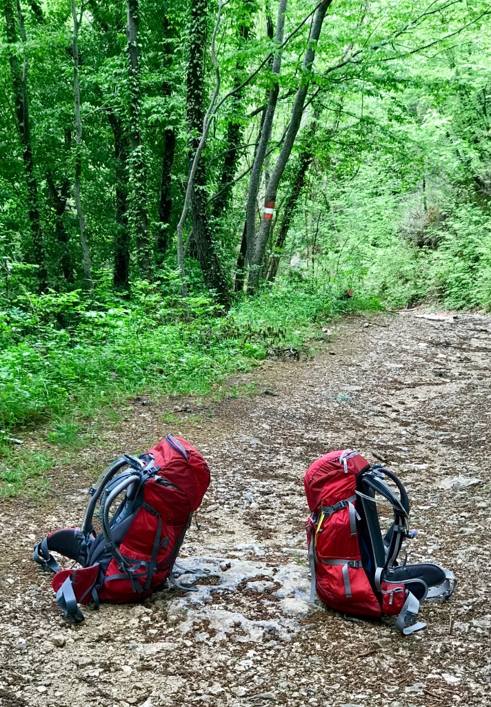 1F018B0C-2268-40D7-A19E-D6DE989C5256