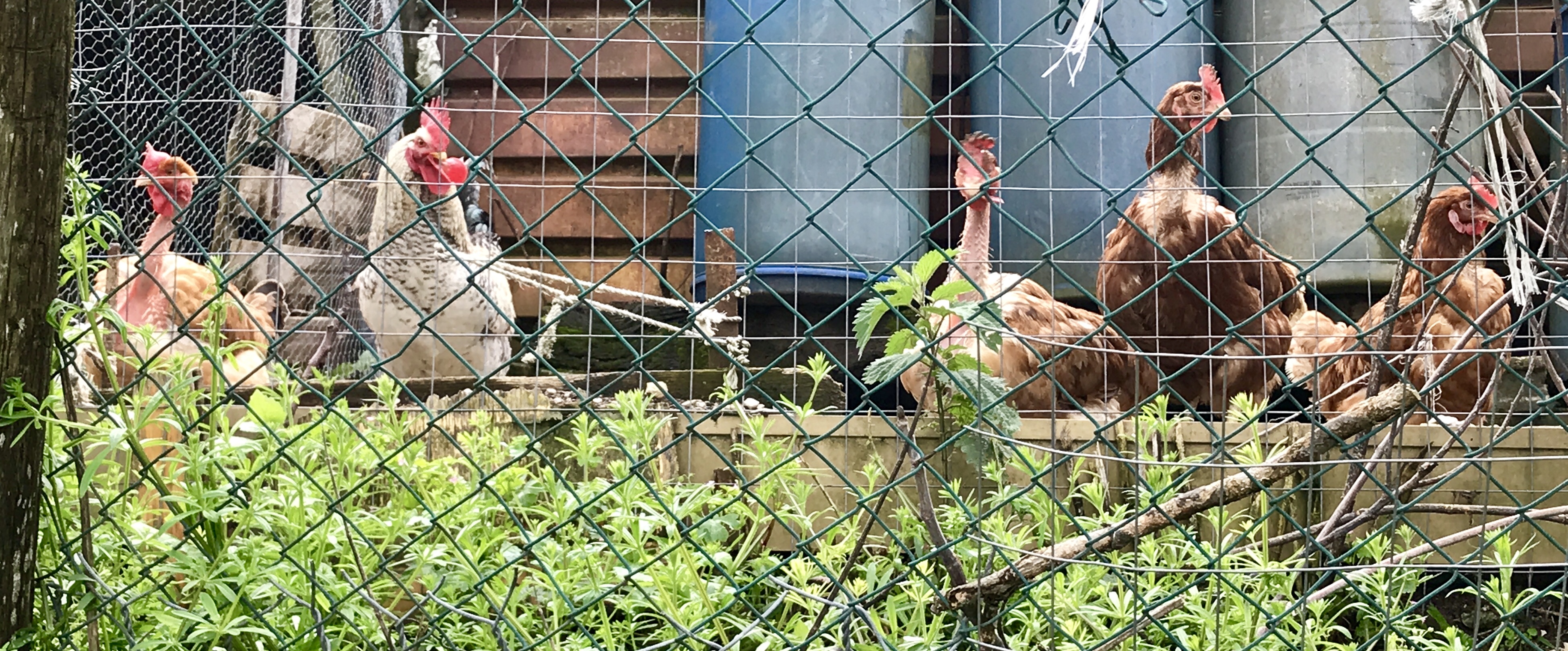 3B4626E9-2B25-419C-97C6-1526A815B55E