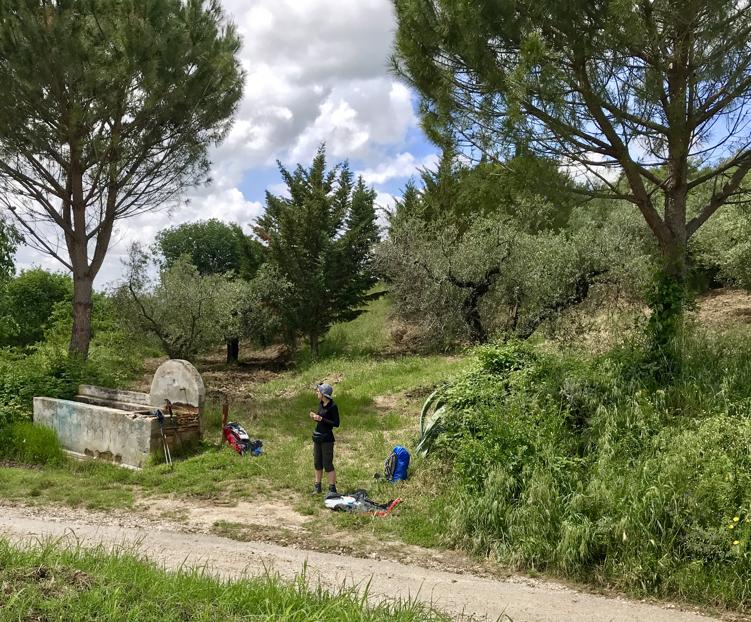 4F06EE2B-B094-475A-A25D-34868A910B4C