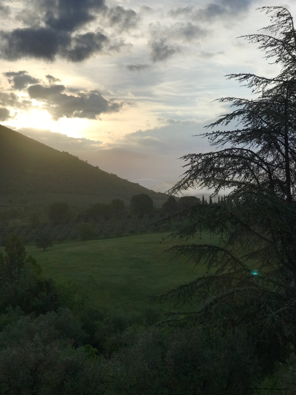 The Way of St. Francis:  Are We There&nbsp;Yet?