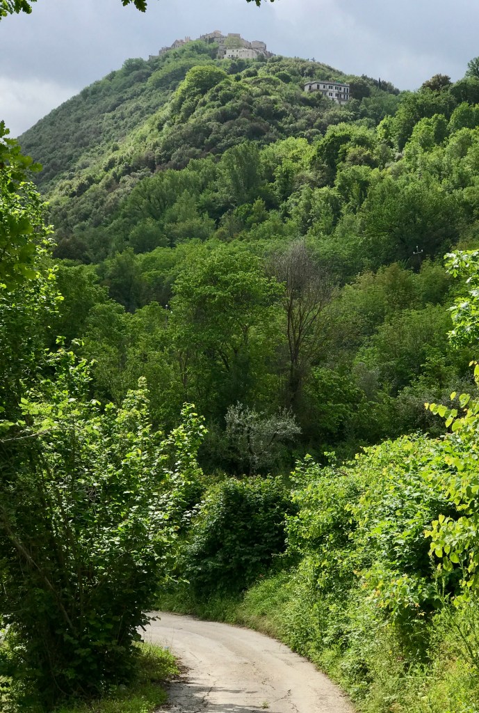 7FA17F0D-3E9F-4EA7-B832-1AAE599B779B