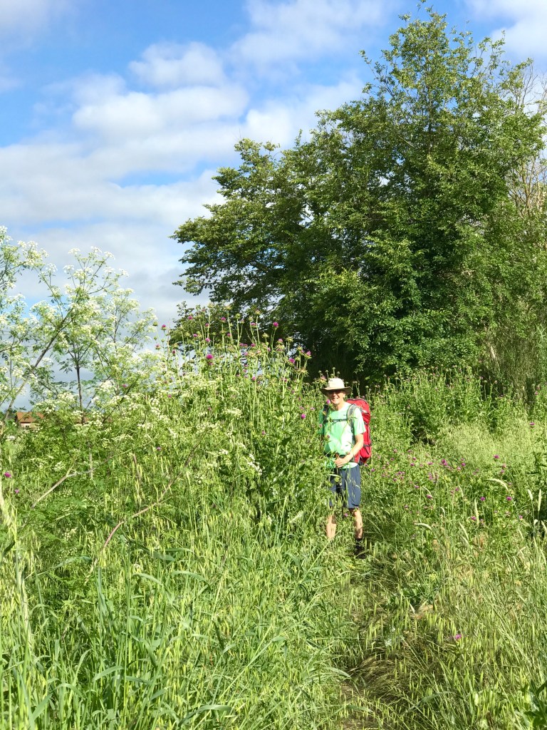 9FC9460D-3387-4315-80B4-266D368E627D