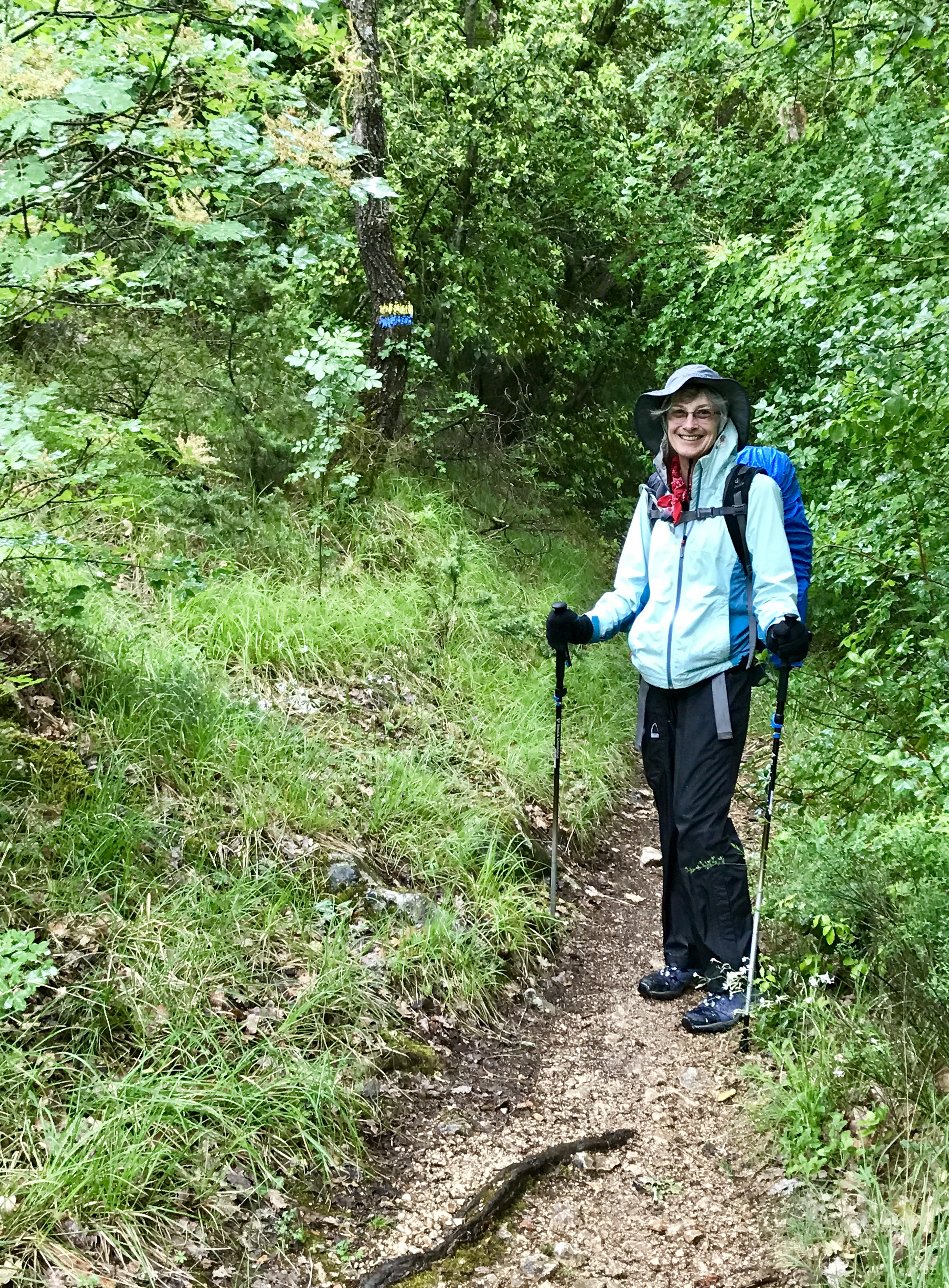 A9E9D430-7DD3-4B04-9440-65ED07F4DDD0