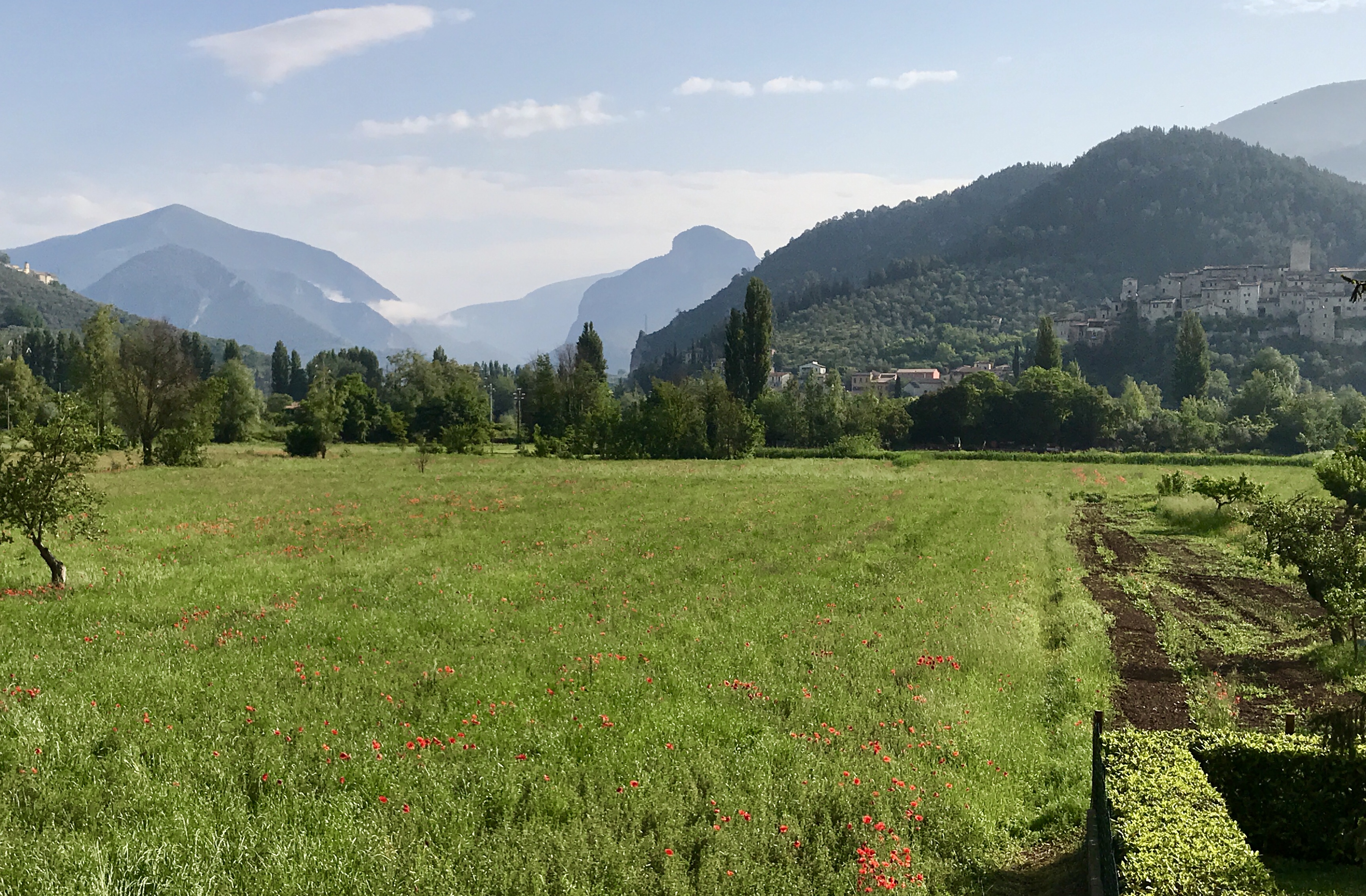 B6BCFE27-453C-4A1B-91E4-92CDA3C8F66E