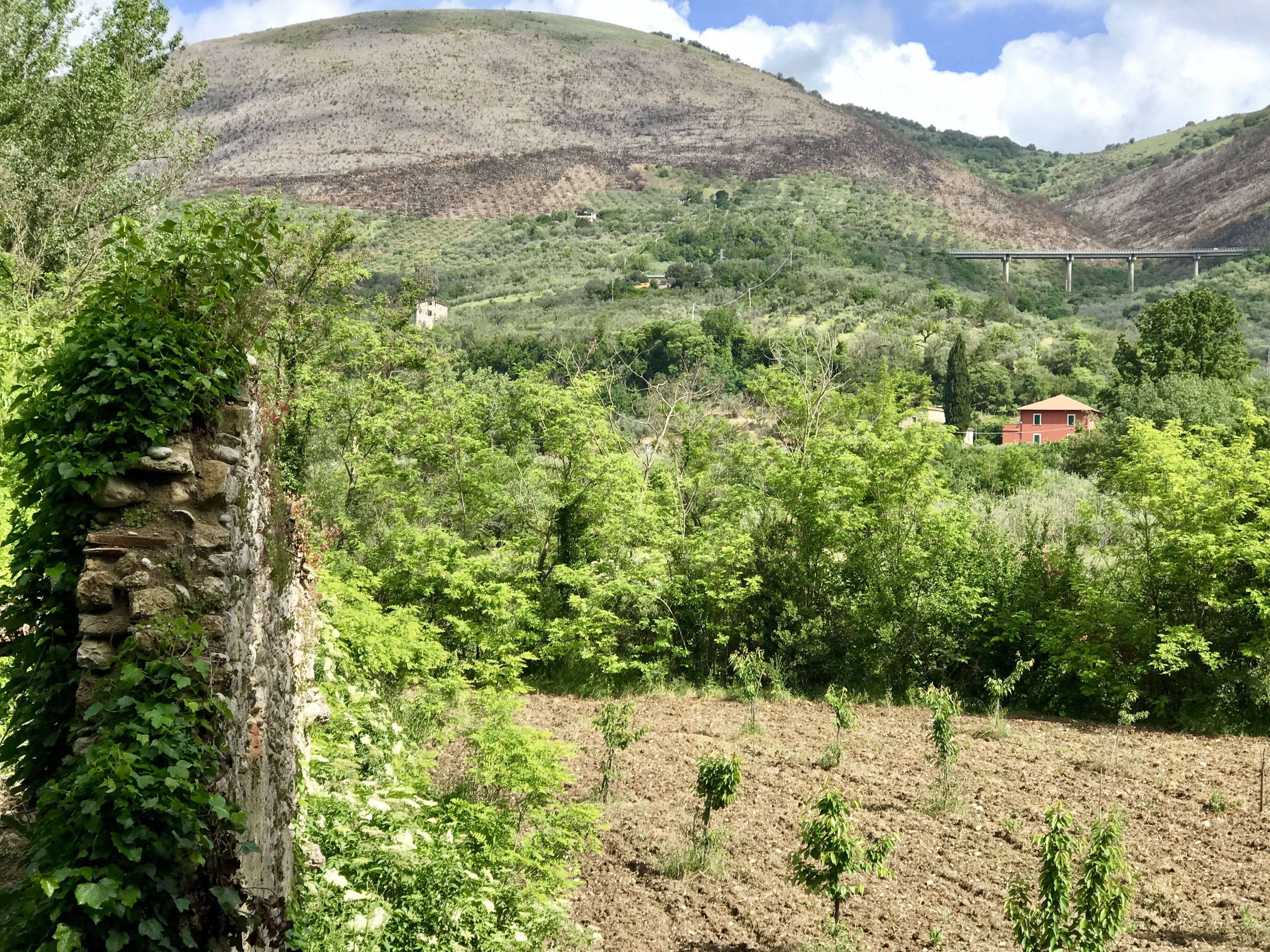 D6AD113B-70A8-4712-BDB9-0E0D972B31D0