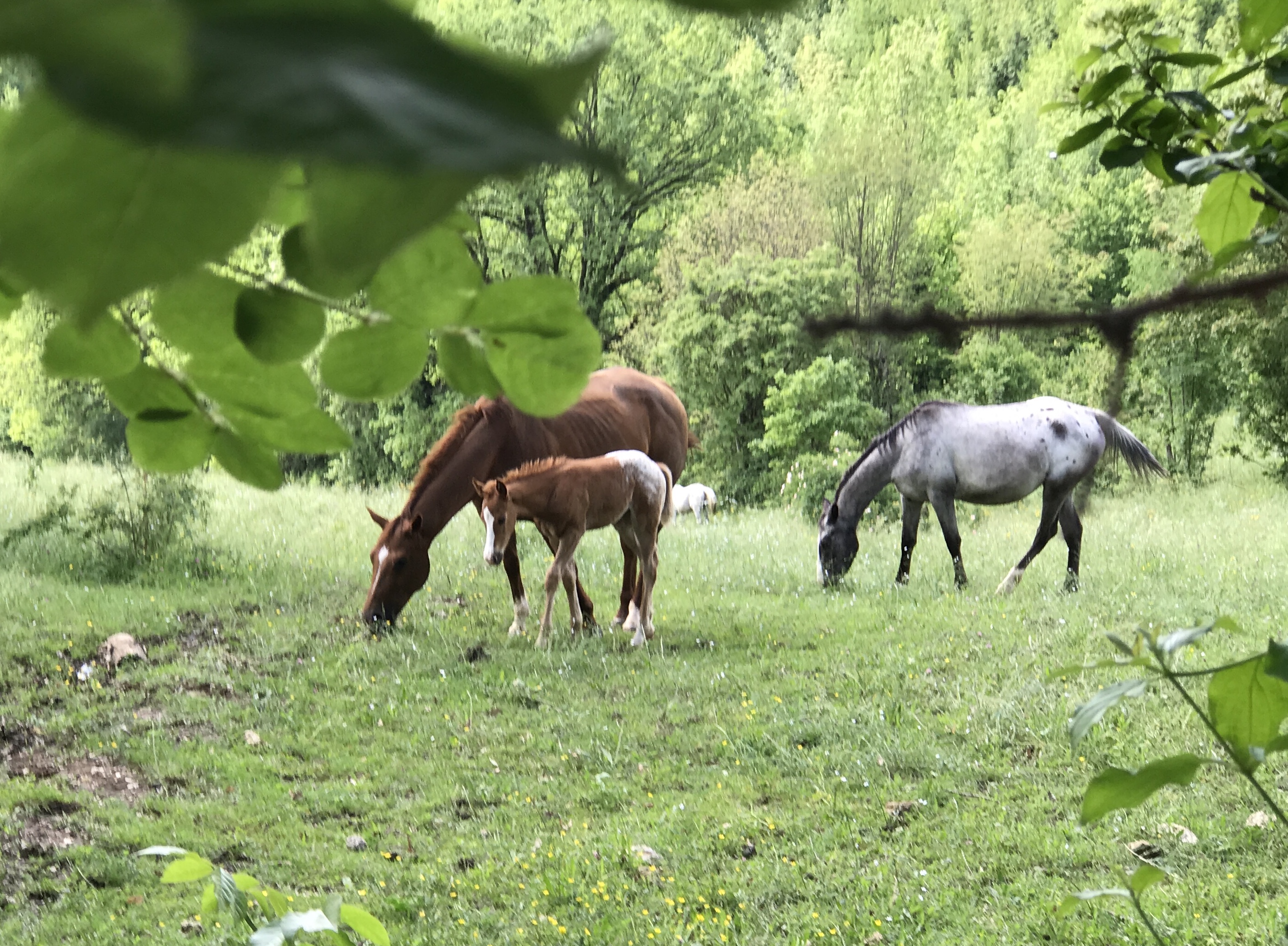 E791C661-0F62-4A39-857E-F8BF4D63B80C