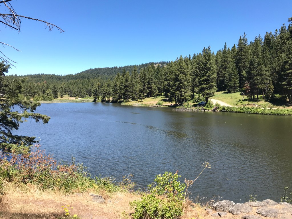 59CA5635-A74E-4529-8E8D-2059C2815B77