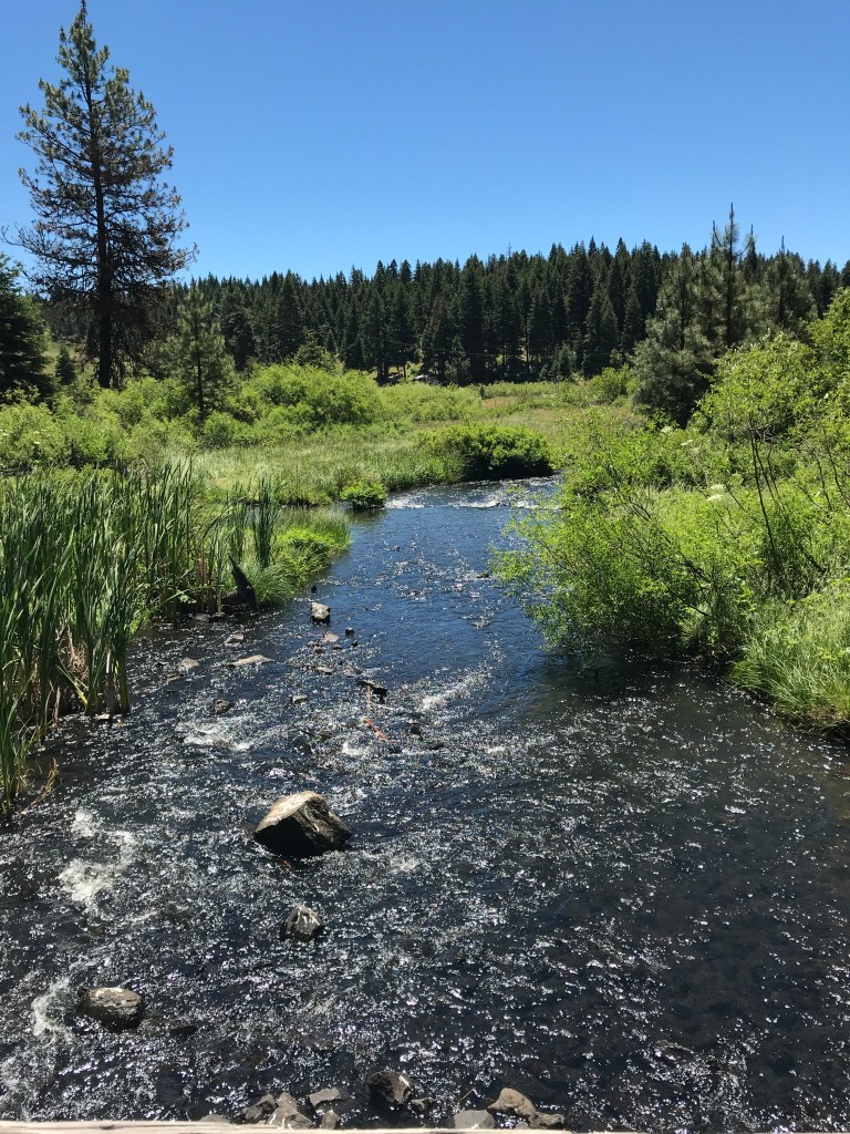 97BC9C38-A003-4859-BBF5-CD6827A1802E