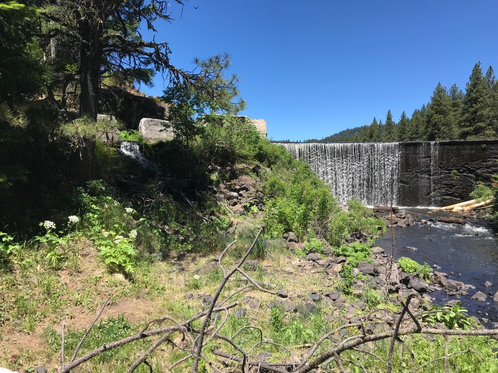 BFA0354D-3C90-43C9-B6D0-644DB980C93D