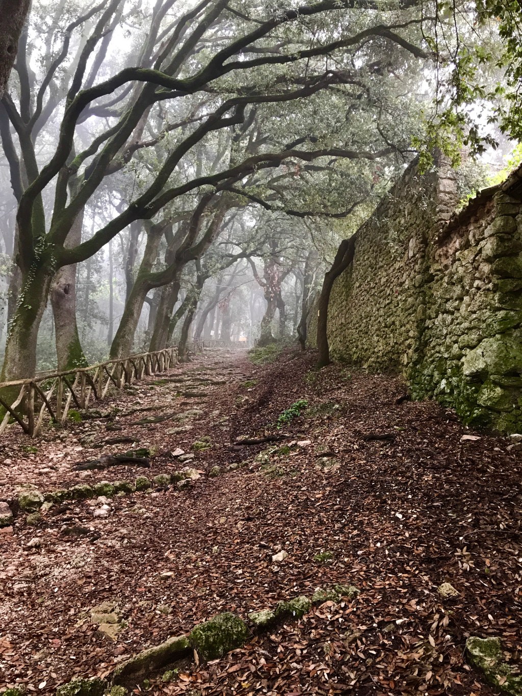 #3 – Favorite Photo Countdown&nbsp;2018