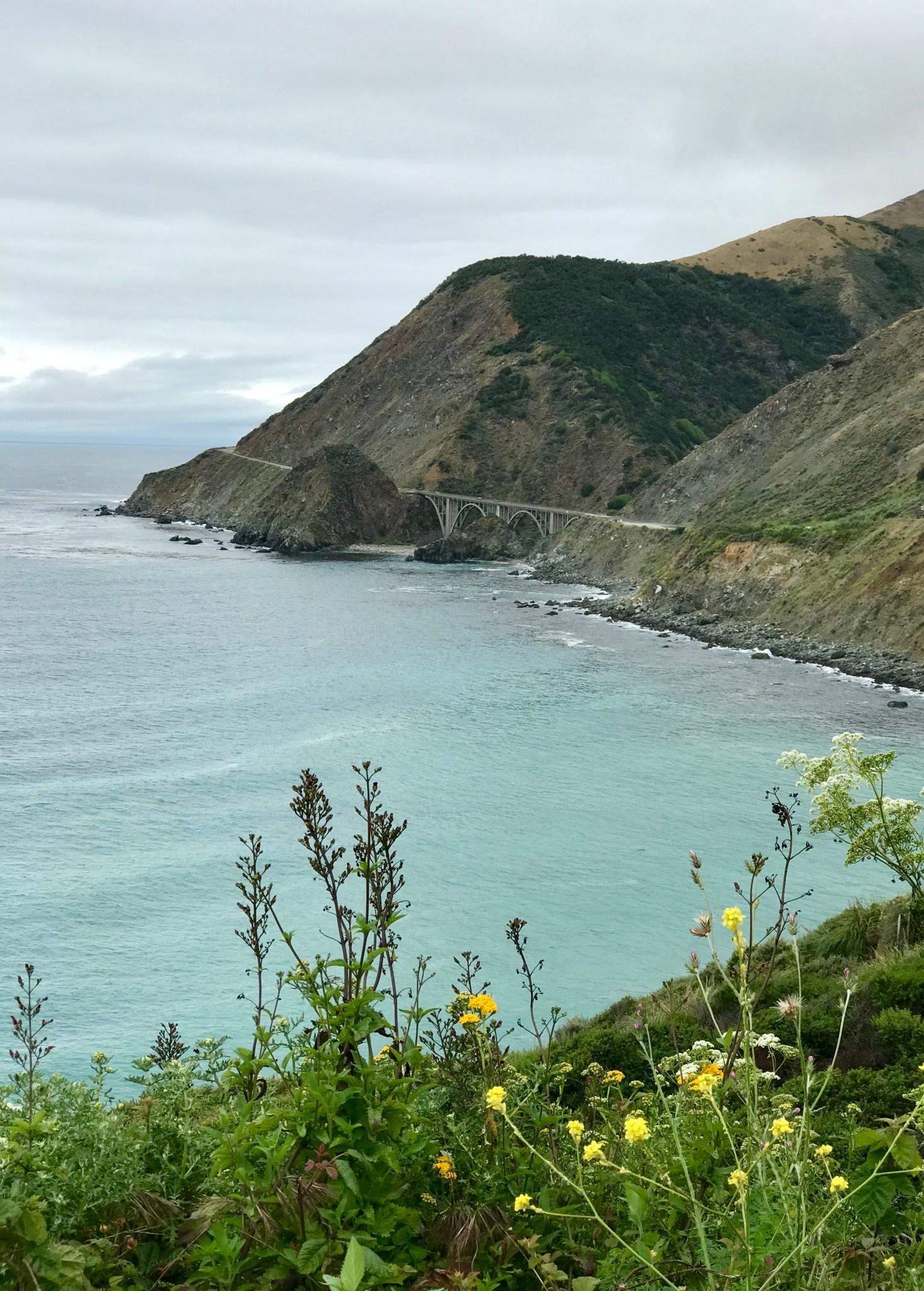 24dddae7-baa3-4d80-aa1c-734b566e6eae