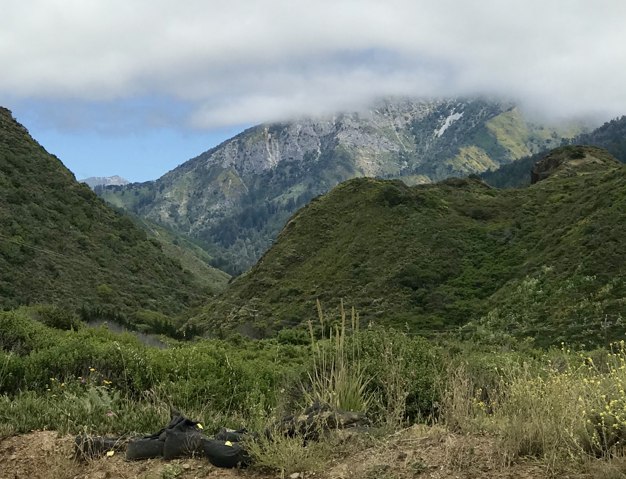 9db06038-47a8-4511-b138-8dbe4c8da67d