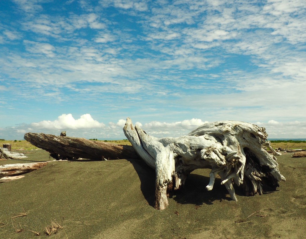 At Least We’re Not in a&nbsp;Tent