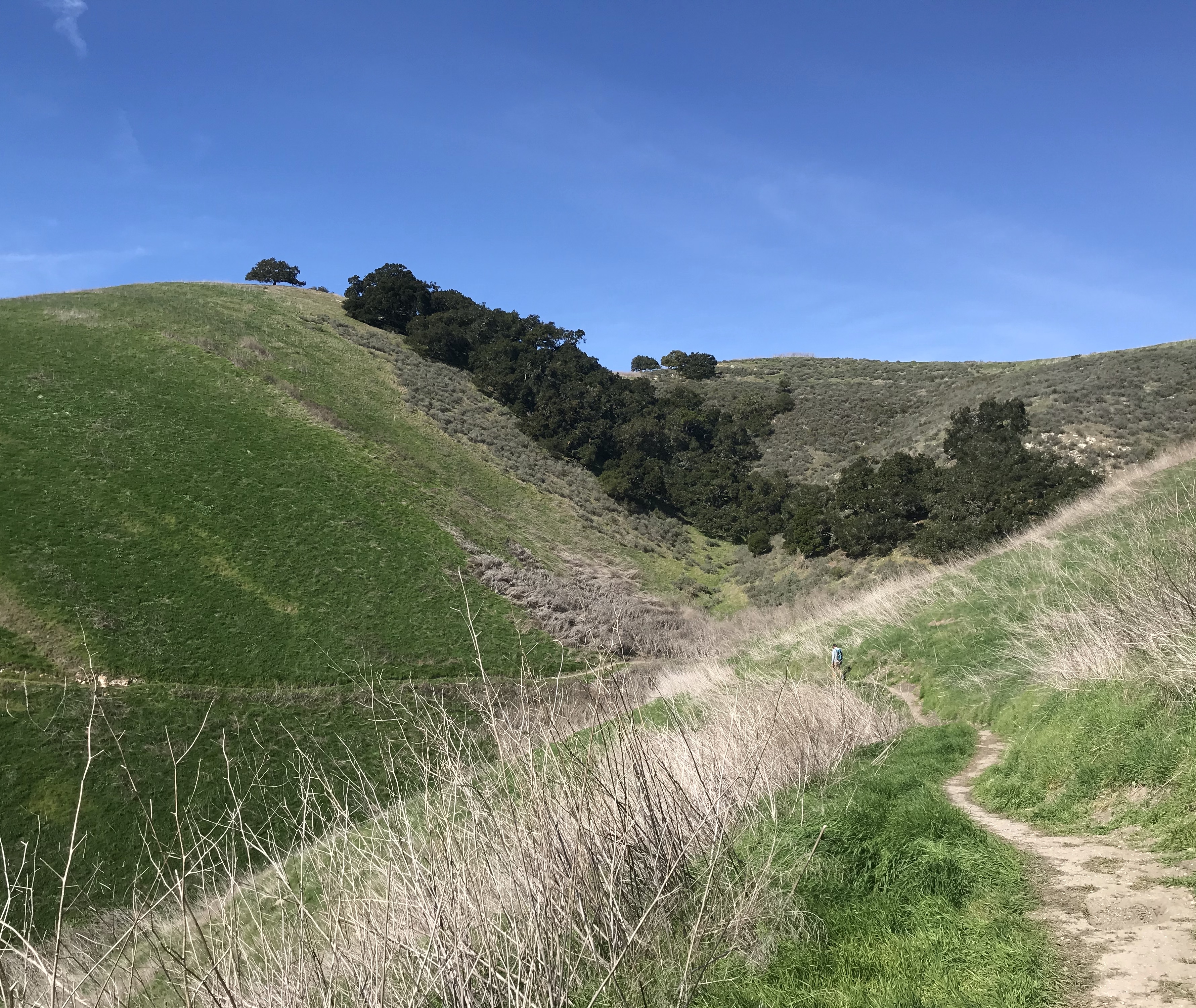 22626EEC-5005-4D4E-A28E-06D31907EAE4