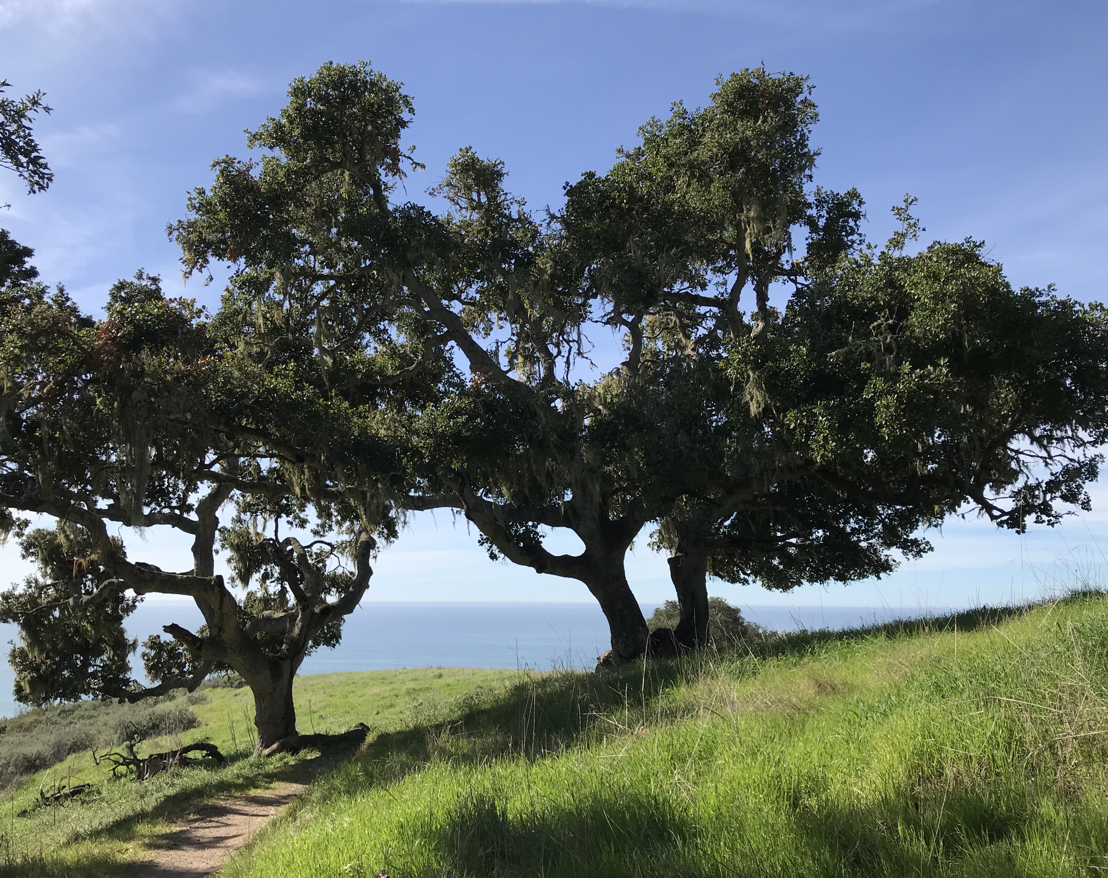 A6907823-3F24-4703-8096-39EB8743729B