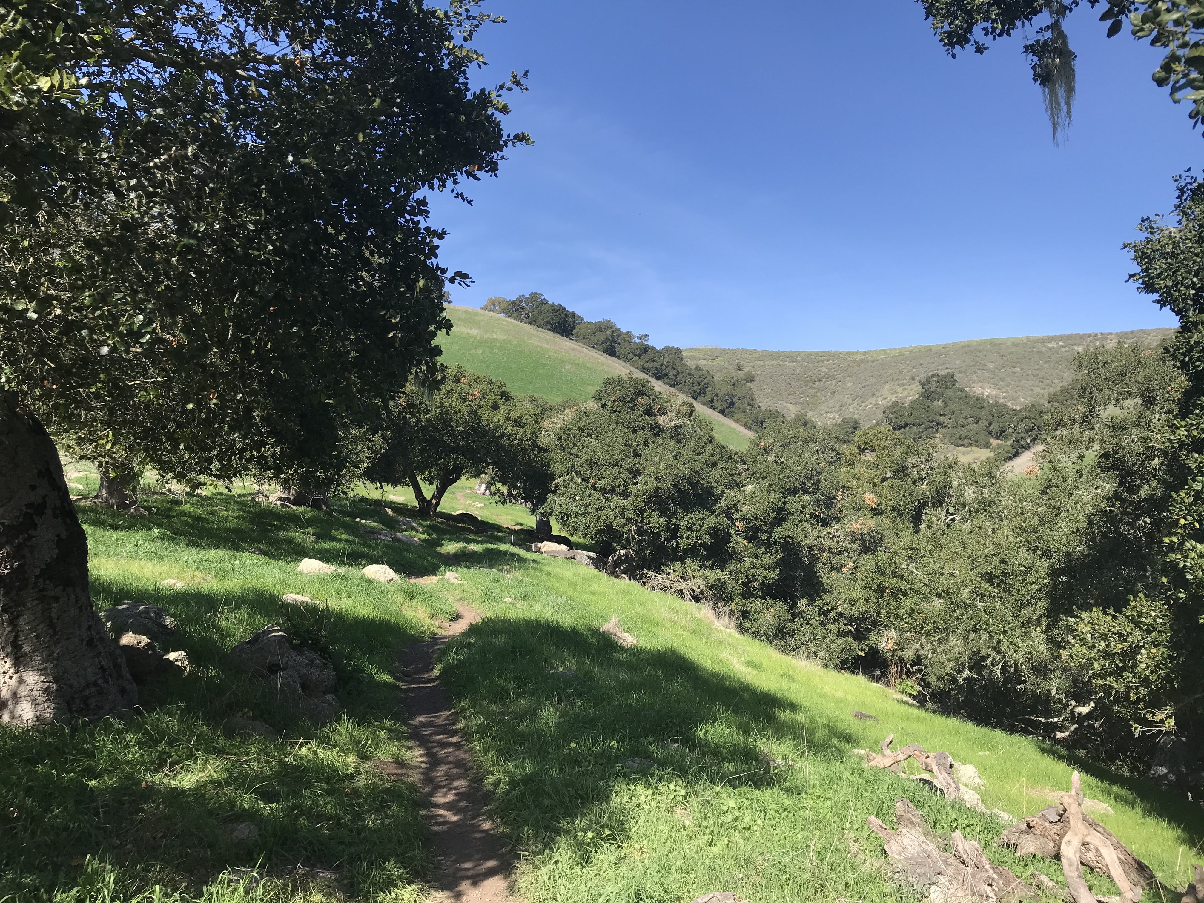 D15EC333-DADF-4378-8F74-654C520286C8