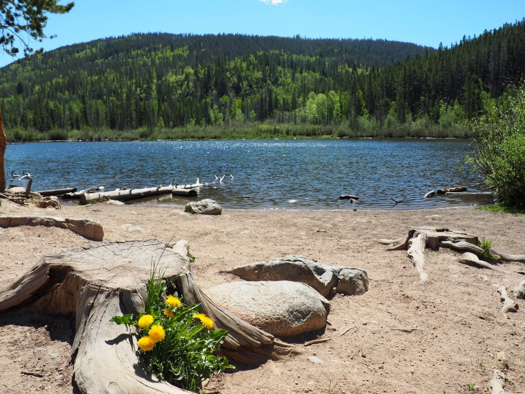 Travels With Minnie: Rainbows&nbsp;End