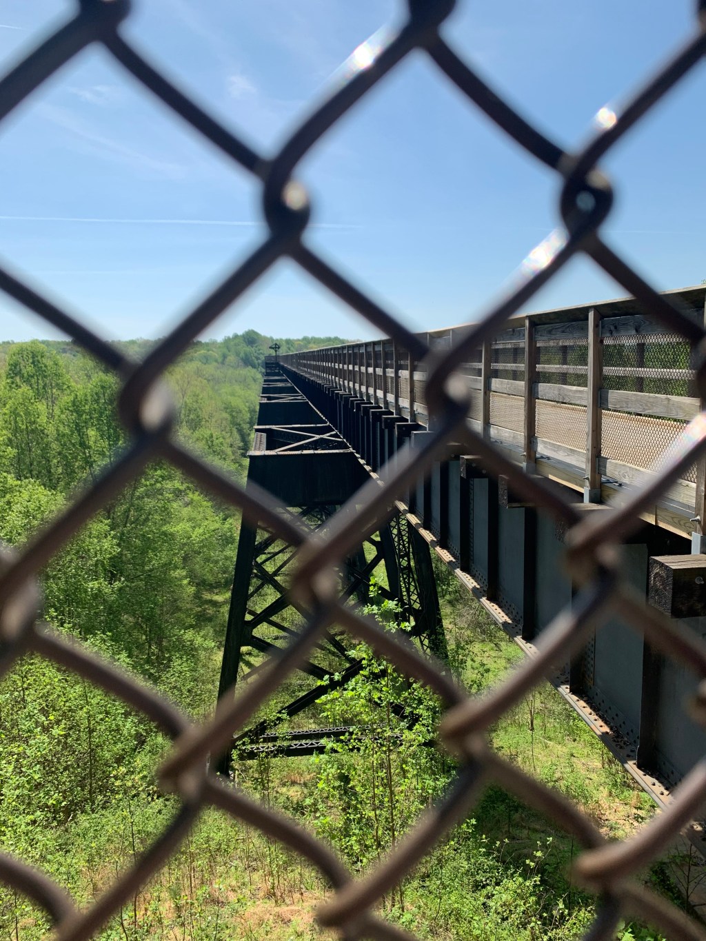 Maine or Bust 2022: Riding&nbsp;High