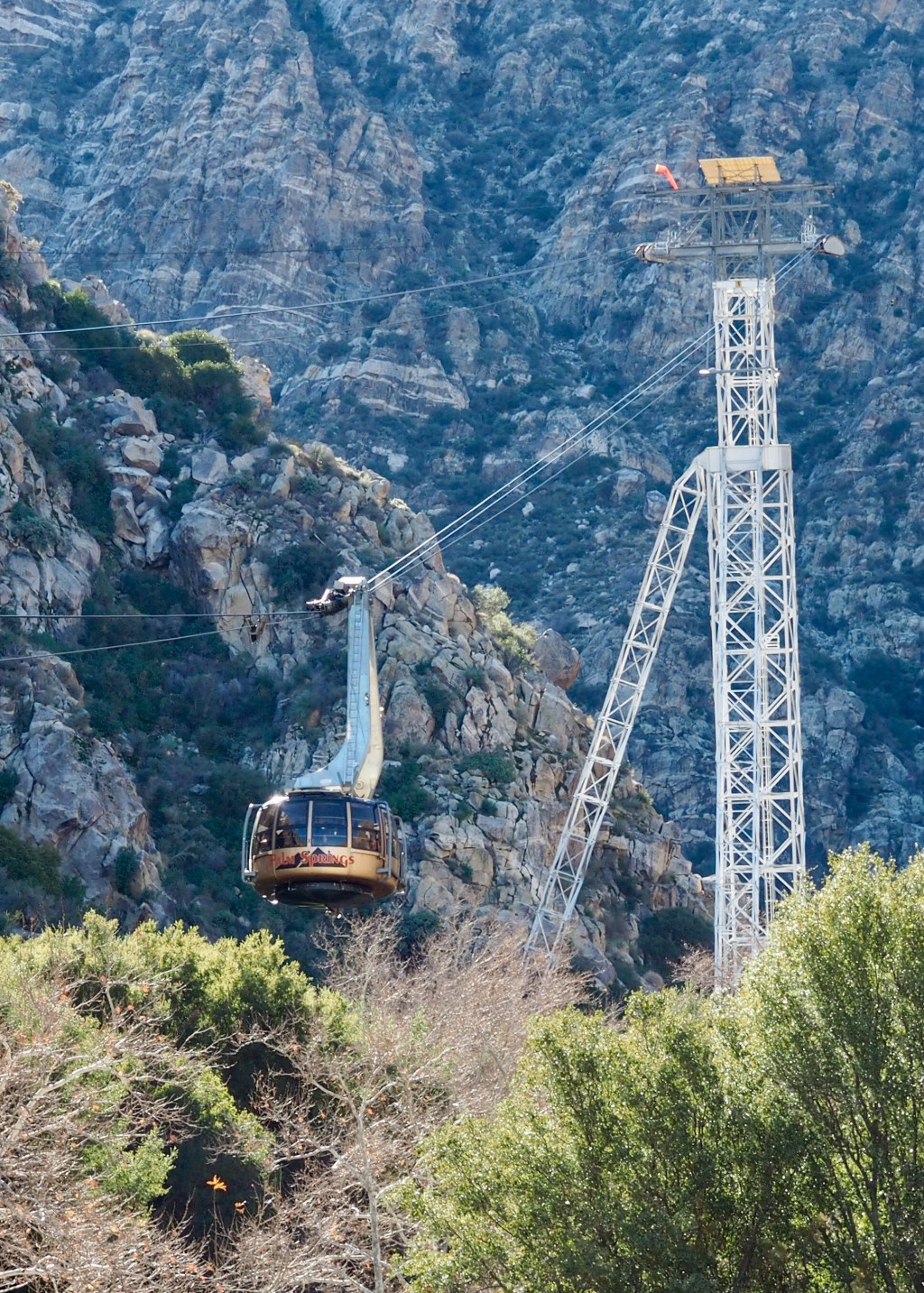 Are We Brave&nbsp;Enough?