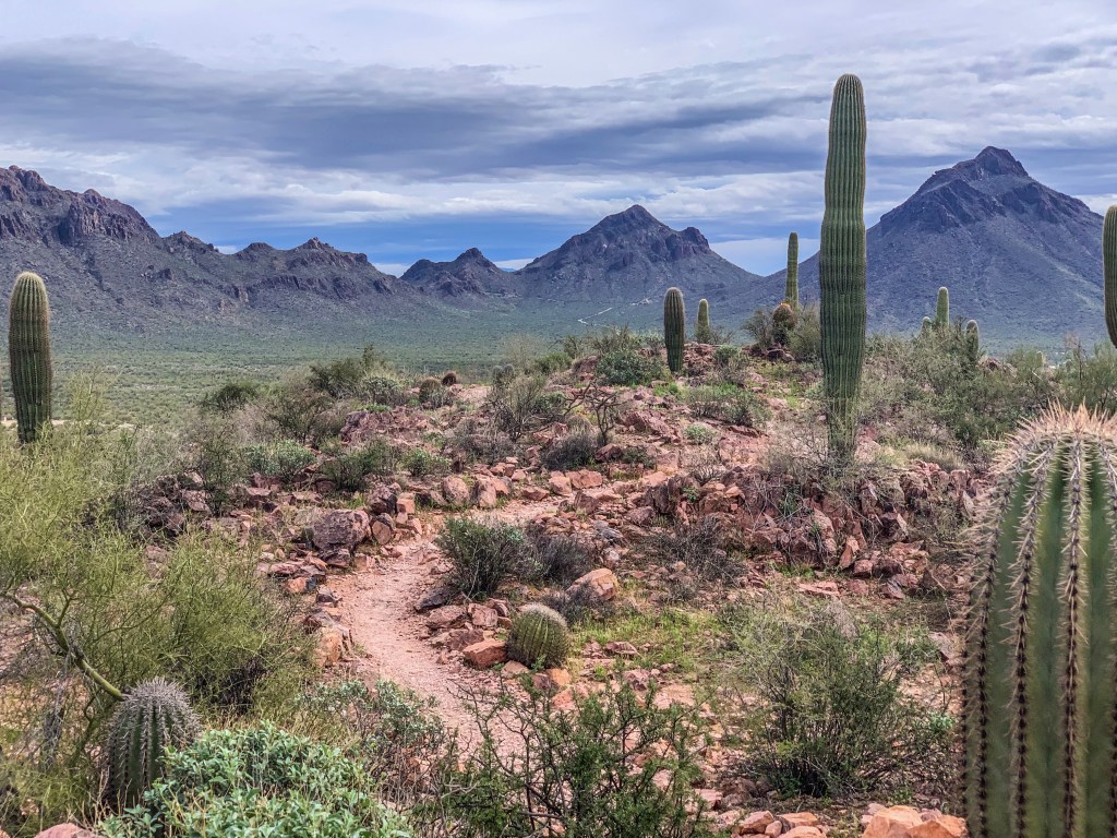 We Won’t Be Fooled&nbsp;Again