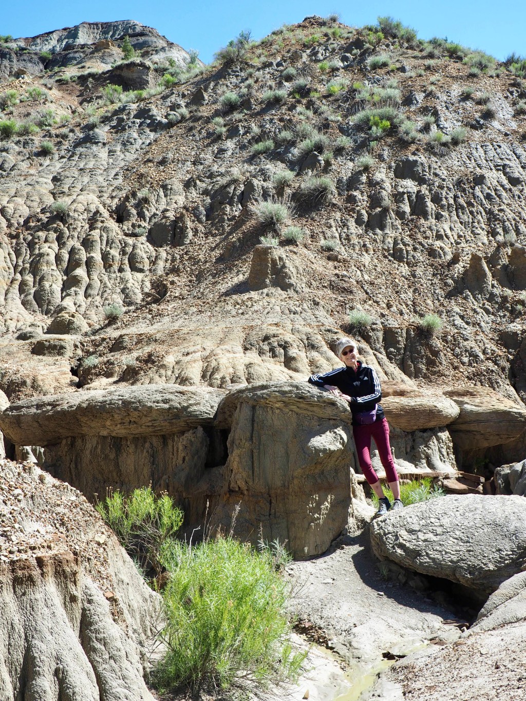 Theodore Roosevelt National&nbsp;Park