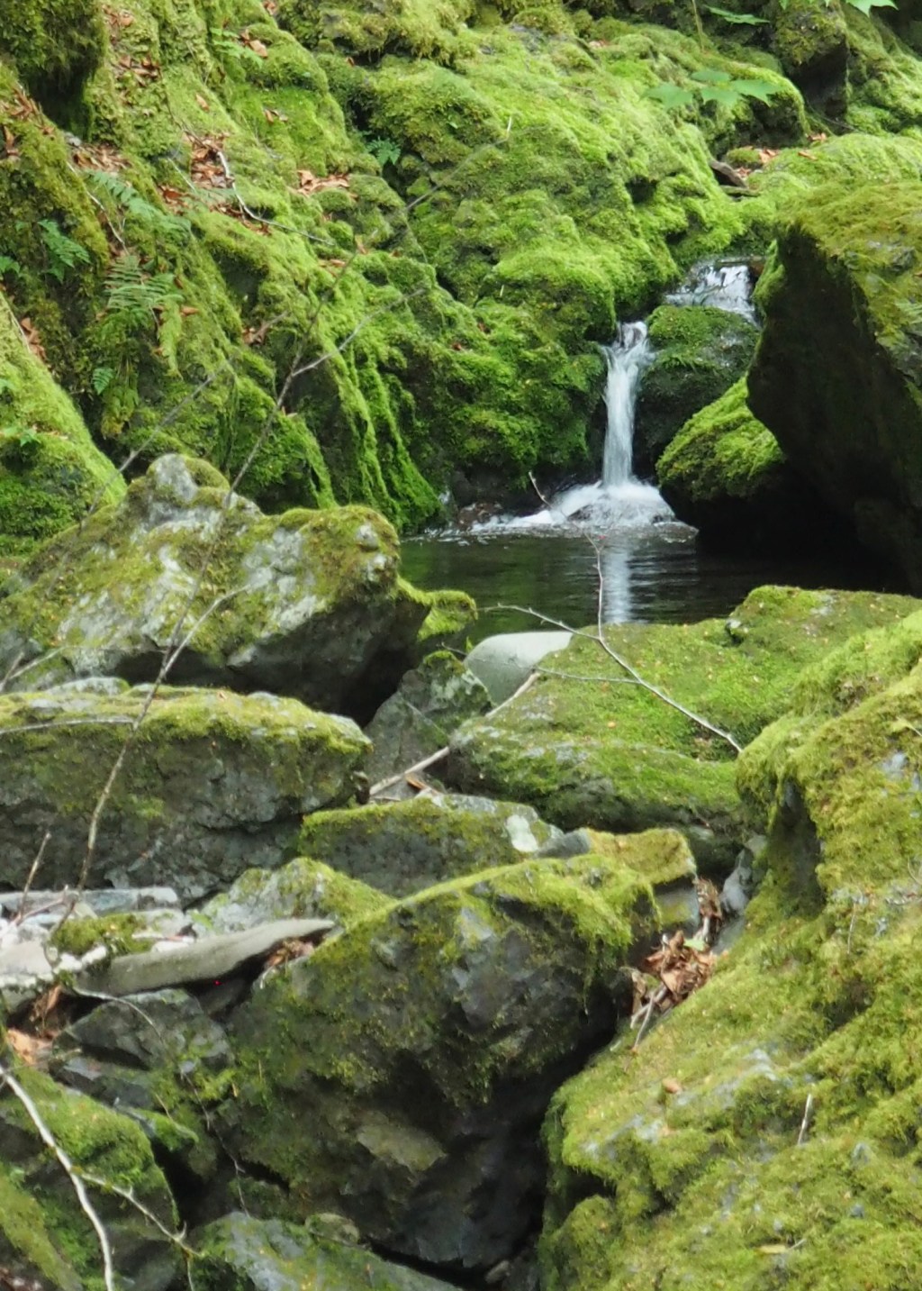 Fundy Coast Highs &&nbsp;Lows