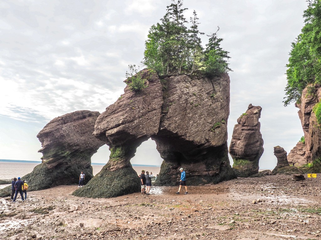 More Fundy Coast Highs &&nbsp;Lows