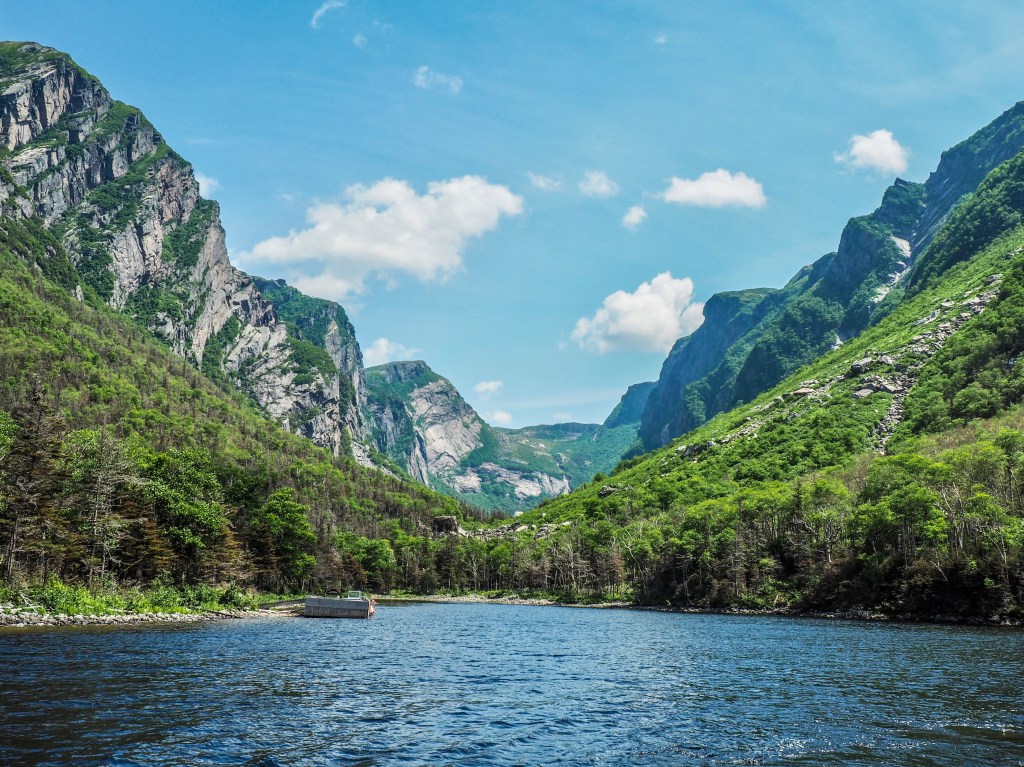 Fjords, Golf Carts And&nbsp;Spoons
