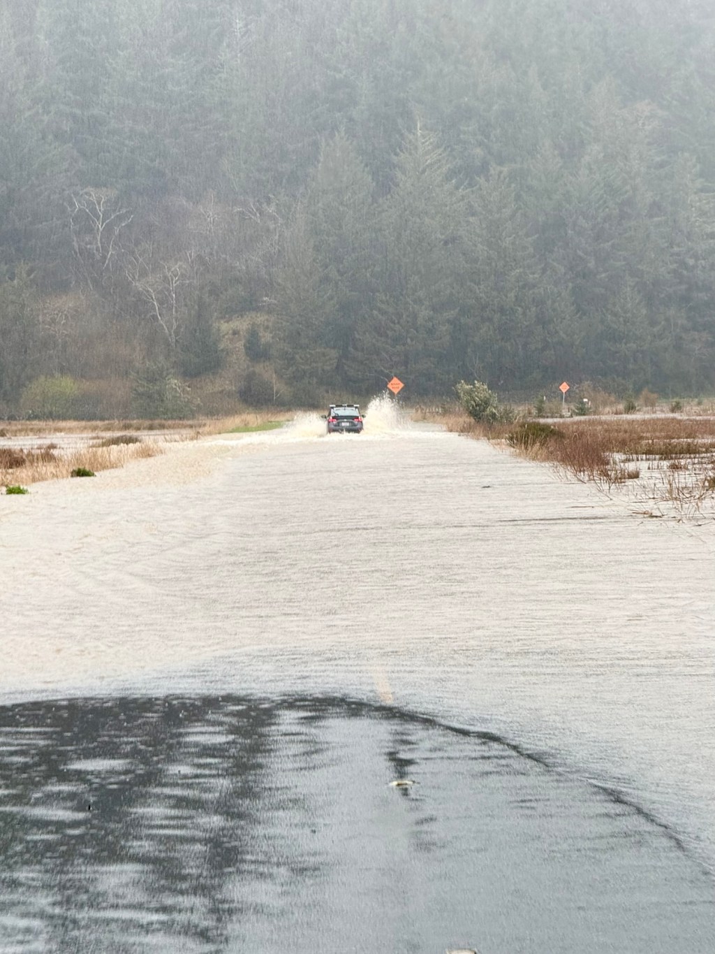 Trapped On Cape&nbsp;Blanco
