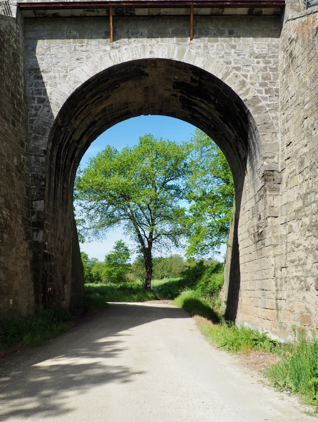 Via Francigena Those Bloomin’&nbsp;Flowers