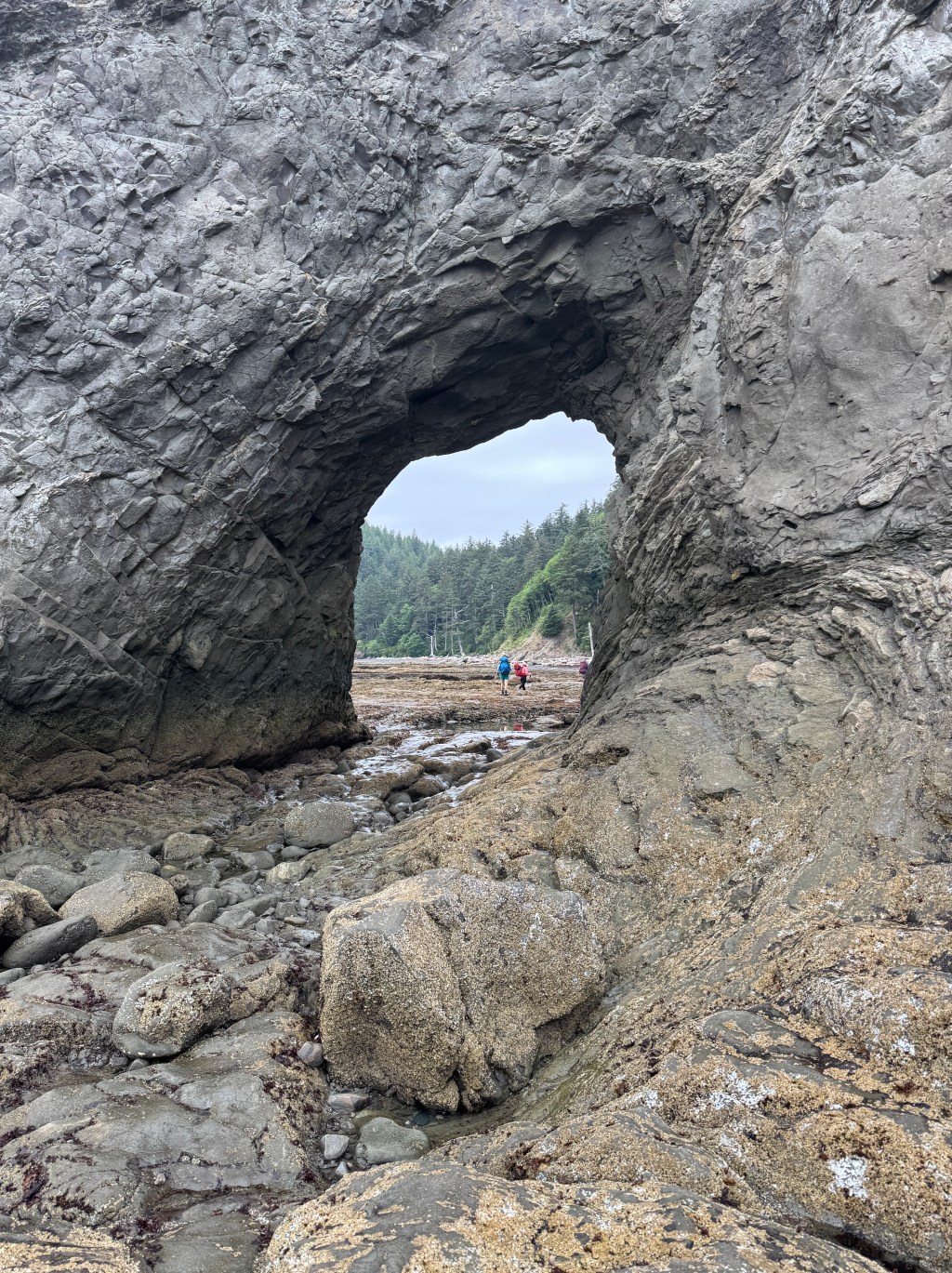 Olympic National Park – Coastal&nbsp;Walks