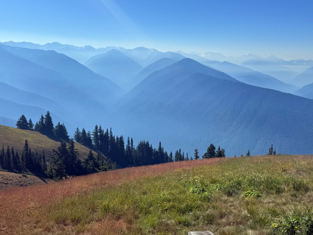Hurricane Ridge Blew Us&nbsp;Away